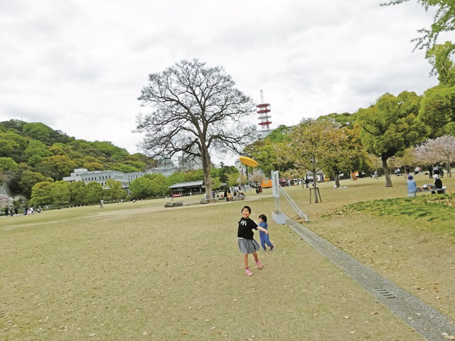 親子で楽しめる公園を紹介します