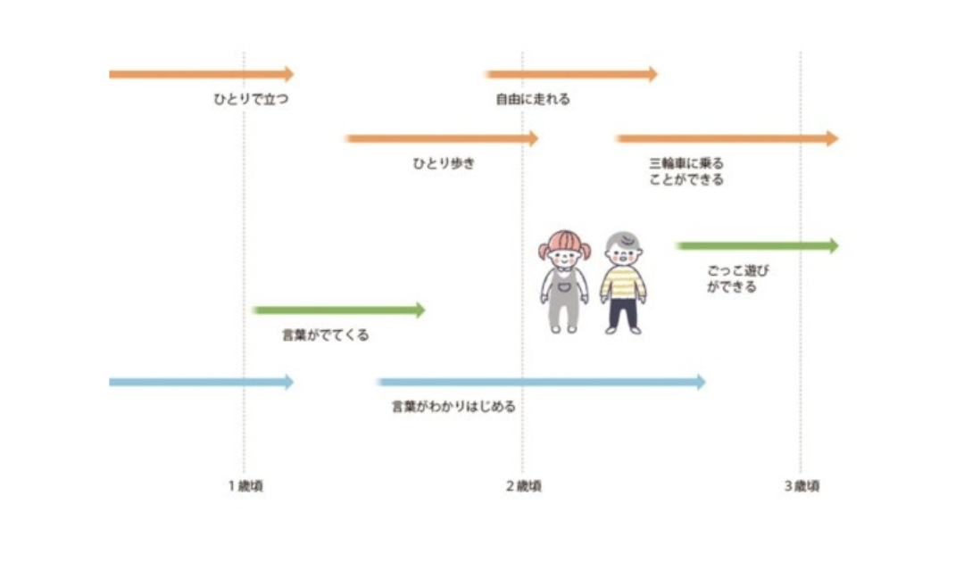 赤ちゃんからの成長と発達