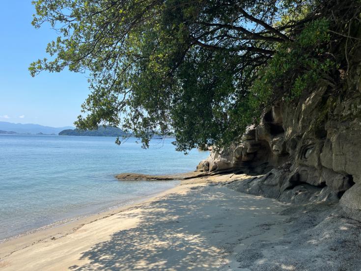 親子におすすめの「島遊び」スポット
