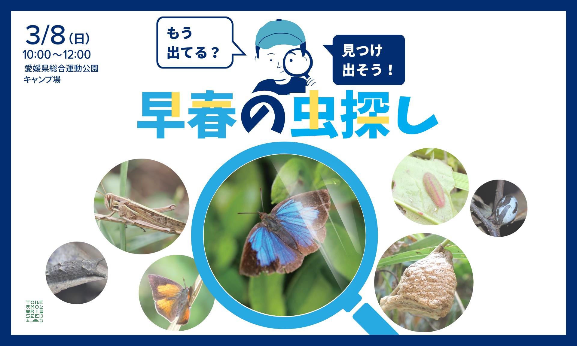寒くても虫はいる!?「もう出てる？見つけ出そう！早春の虫探し」